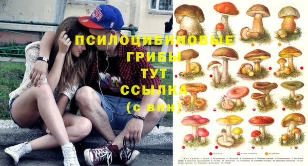 мескалин Бугульма